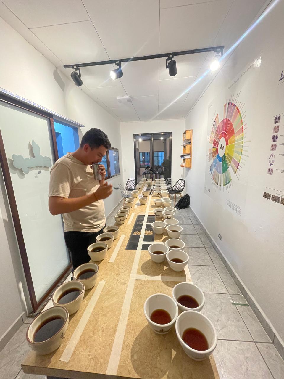 Clases de Tueste de Café